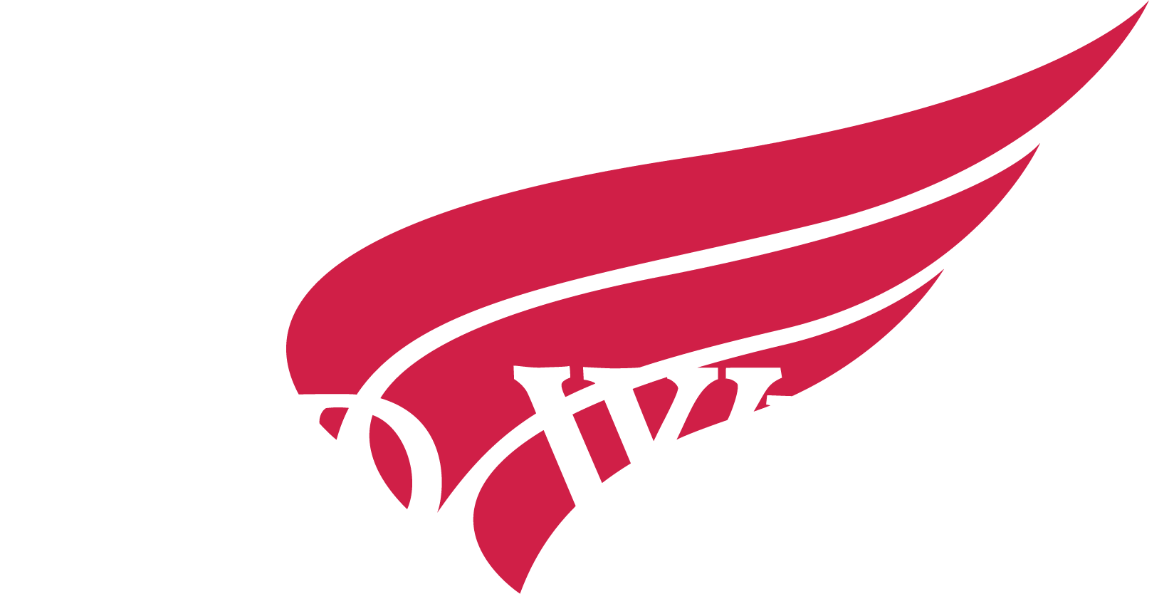 City of Red Wing with a red wing