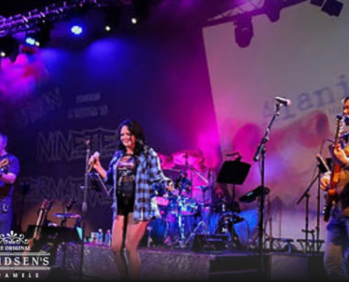 Music of Steve Miller and The Cars band playing on stage