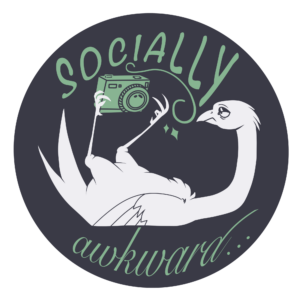 socially awkward Socially awkward with goose and camera